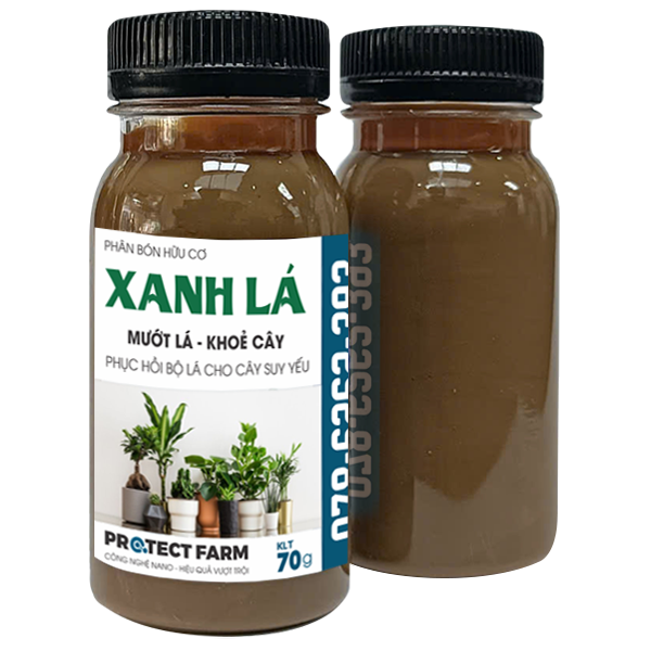 Xanh Lá Nano, Chuyên dùng cho cây kiểng văn phòng, Hũ 70g, Dạng kem siêu đậm đặc